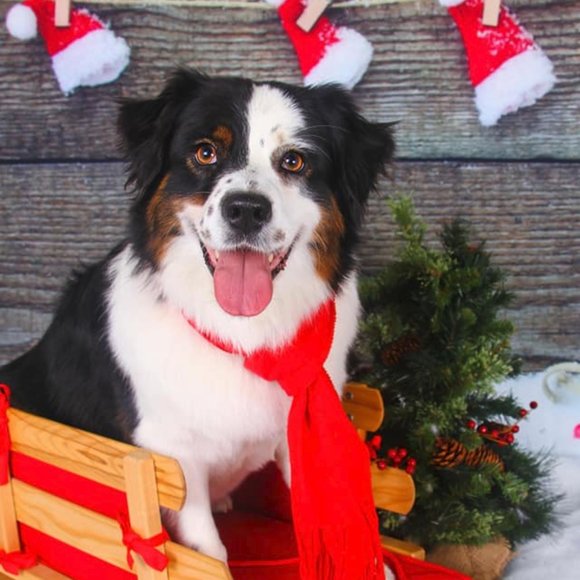 Meet your Posher, Kate ❤️ - Picture 4 of 5